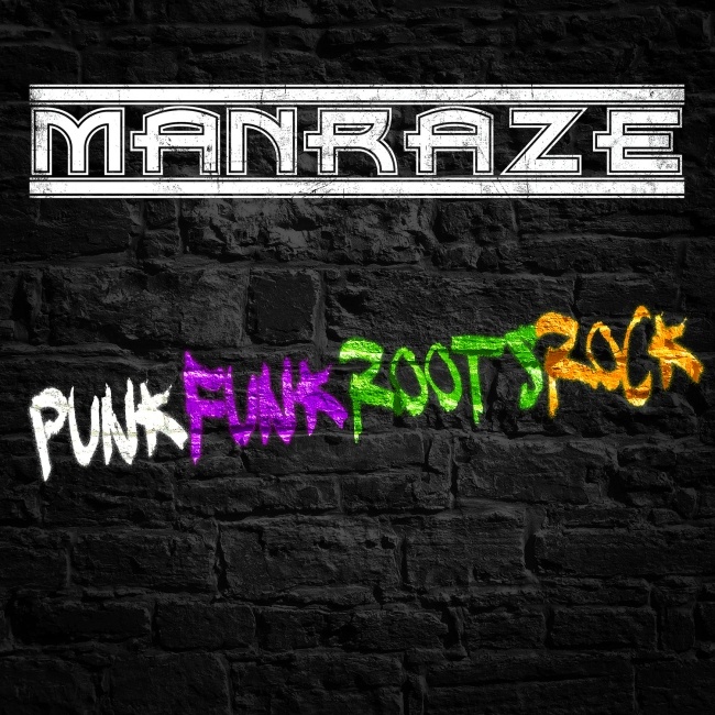 punkfunkrootsrock2011.