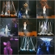 Fan Photos. Fan Photos.
