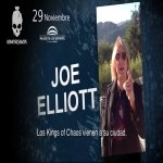 Joe Elliott 2013.