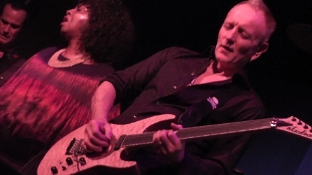 Phil Collen 2016.