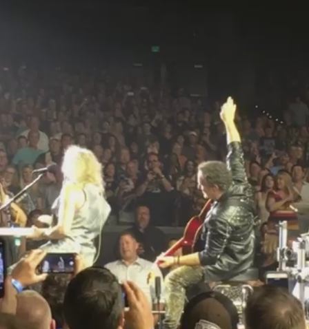 Def Leppard 2019.