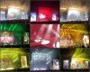 Fan Photos.