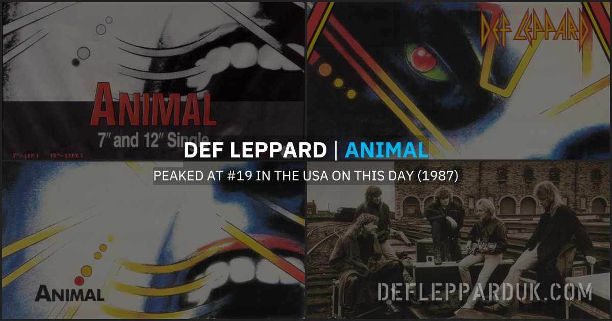 Animal 1987. Animal 1987.