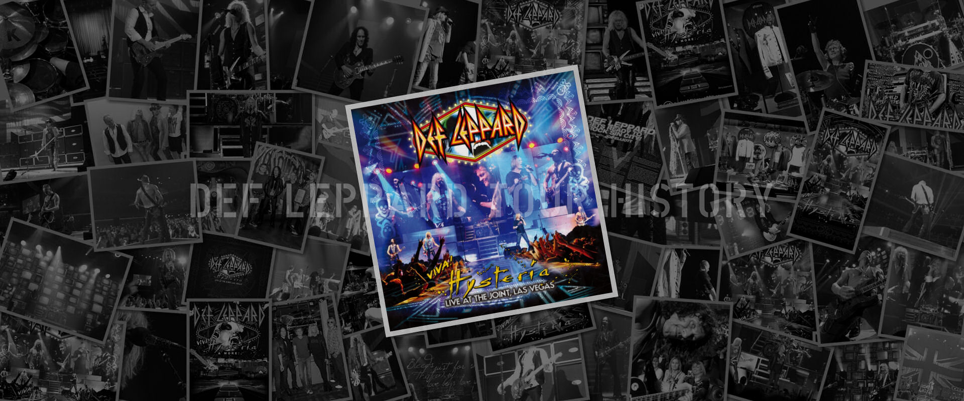Def Leppard 2013.