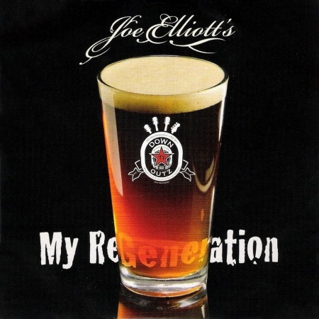 Joe Elliott 2010.
